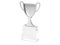 Кубок Champion