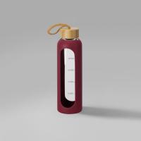 Бутылка из боросиликатного стекла Hangy, 550 мл