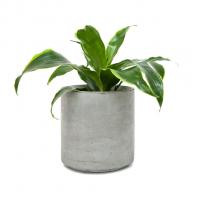 Кашпо CYLINDER 155 (бетон)