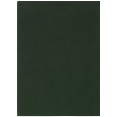 Ежедневник Flat Light, недатированный