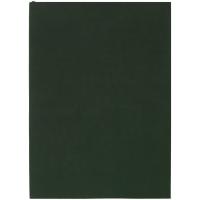 Ежедневник Flat Light, недатированный