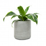 Кашпо CYLINDER 155 (бетон)