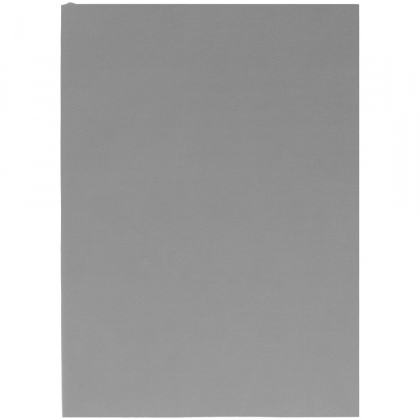 Ежедневник Flat, недатированный