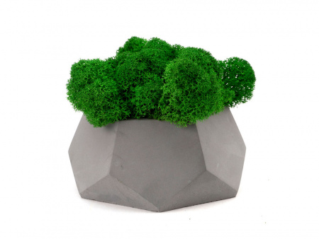 Кашпо бетонное со мхом Альфа