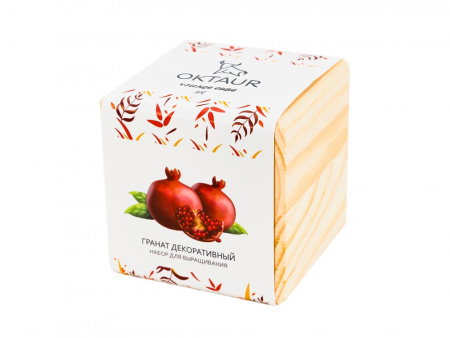Набор для выращивания Big village cube Гранат комнатный