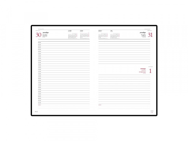 Ежедневник датированный А5 Ideal New 2025, коричневый