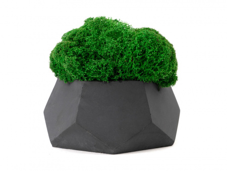 Кашпо бетонное со мхом (альфа-антрацит мох зеленый), QRONA