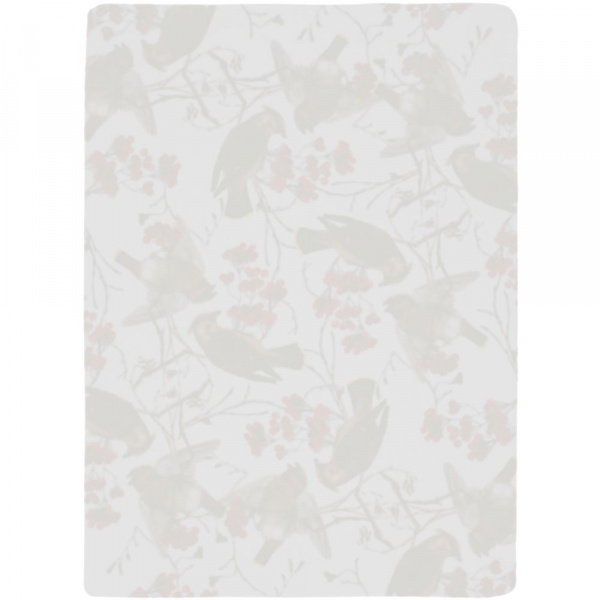 Флисовый плед Winter Bird