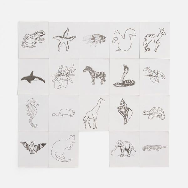 Набор для раскрашивания Create