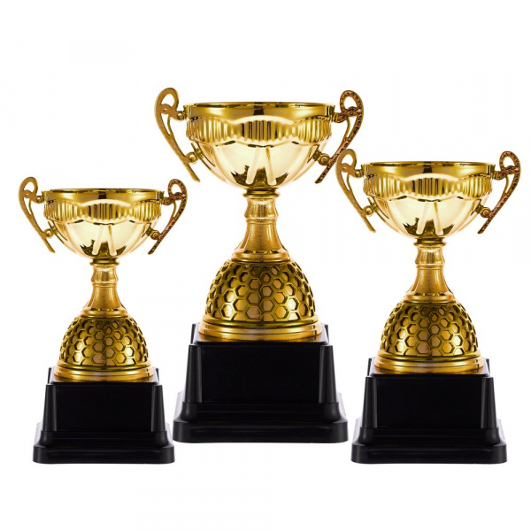 Кубок Meritus, малый