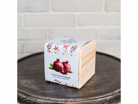 Набор для выращивания Big village cube Гранат комнатный