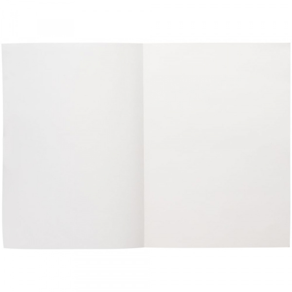 Ежедневник Flat Light, недатированный