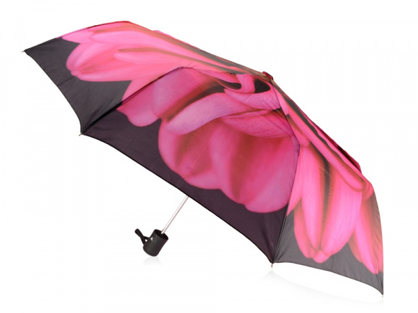 Набор Георгин, черный/розовый