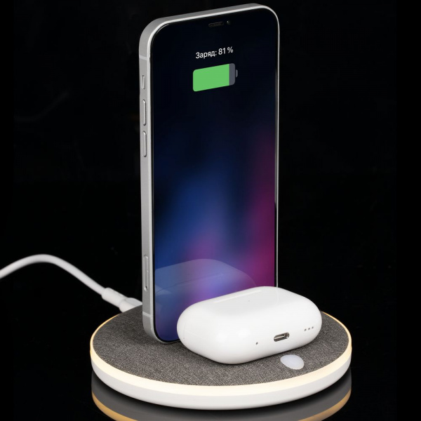 Универсальная зарядная станция Power Canvas