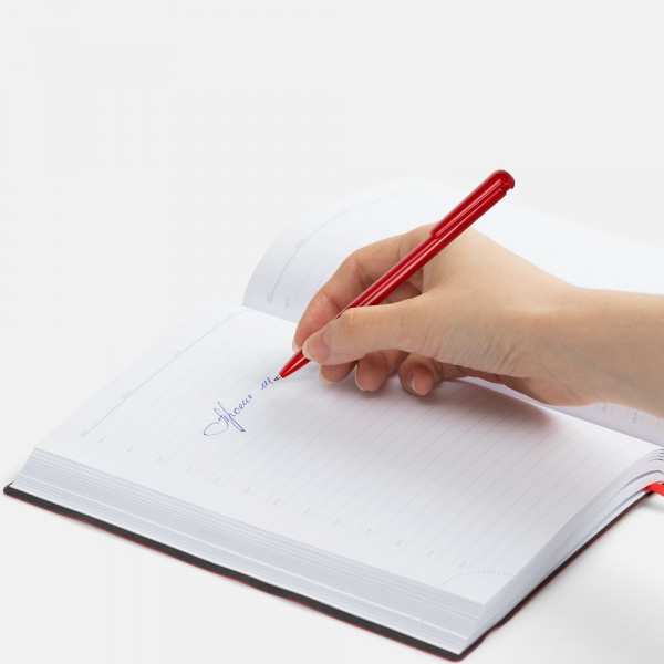 Ручка шариковая Penpal