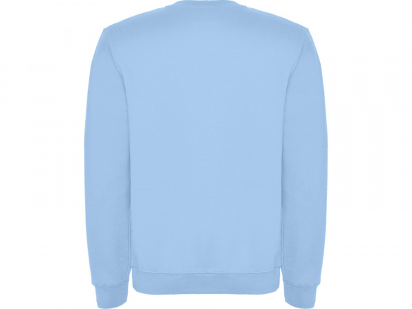 Свитшот с начесом Clasica детский, небесно-голубой