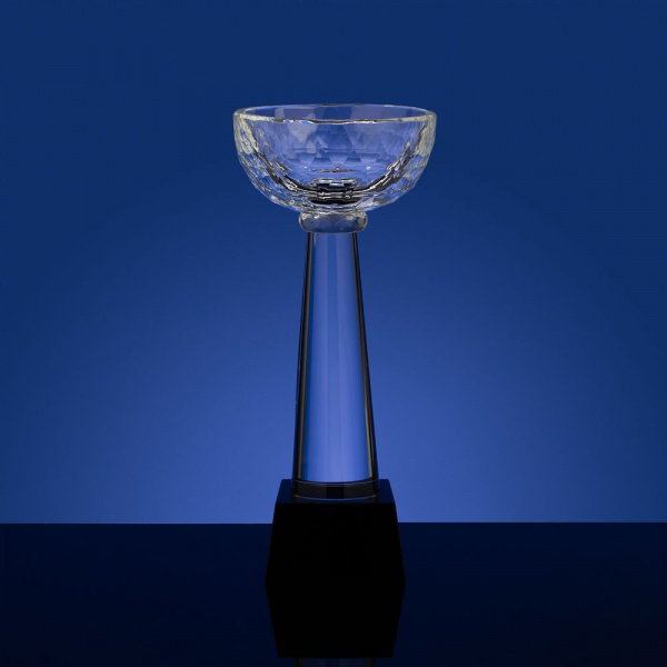 Кубок Cupture