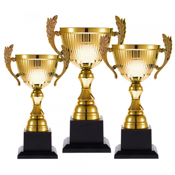 Кубок Spica, средний