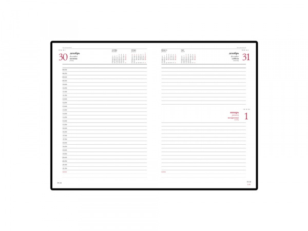 Ежедневник А5 датированный Бумвинил 2025, бордовый