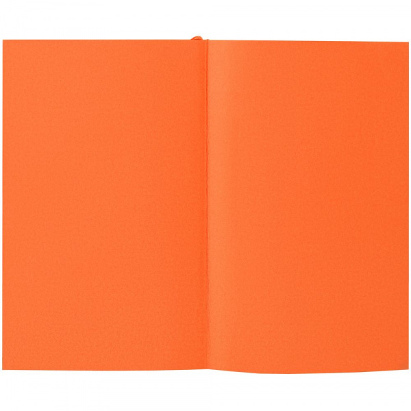 Ежедневник Flat Mini, недатированный