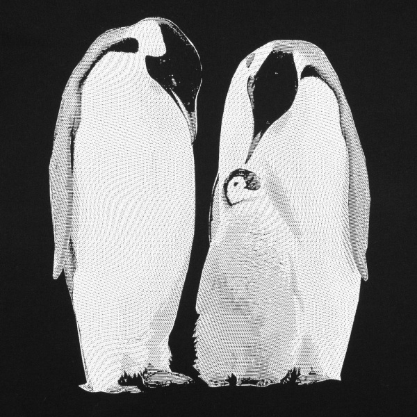 Футболка женская Like a Penguin
