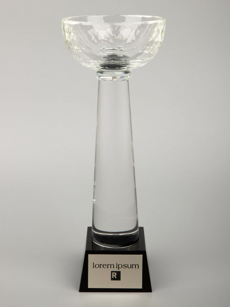 Кубок Cupture