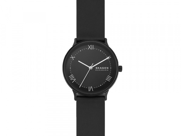 Часы наручные, мужские. Skagen