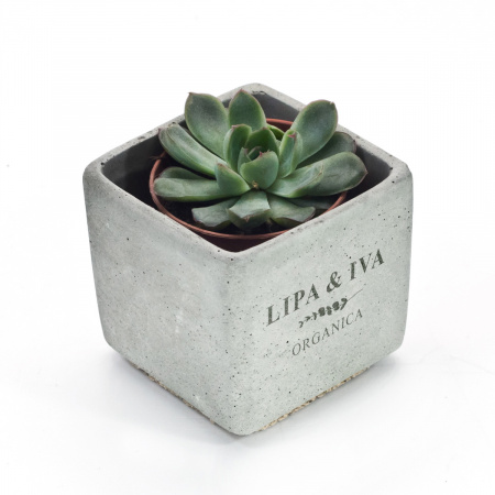 Кашпо BLOCK (бетон)